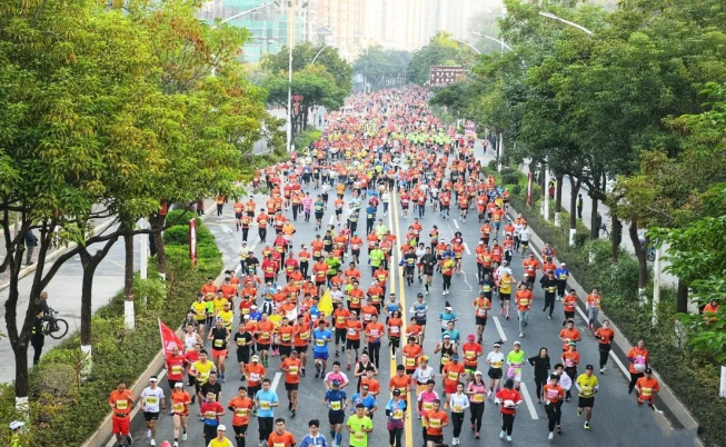 香港资料大全免费公开